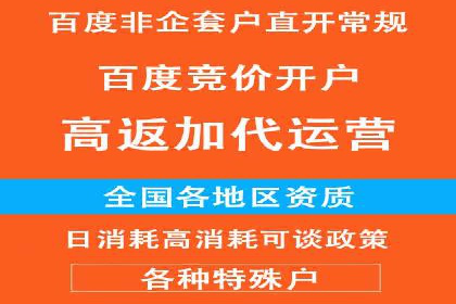 百度竞价包年推广效果：行业领先企业的成功之道